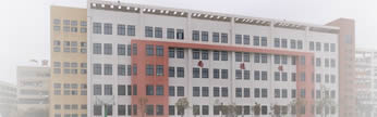学生活动